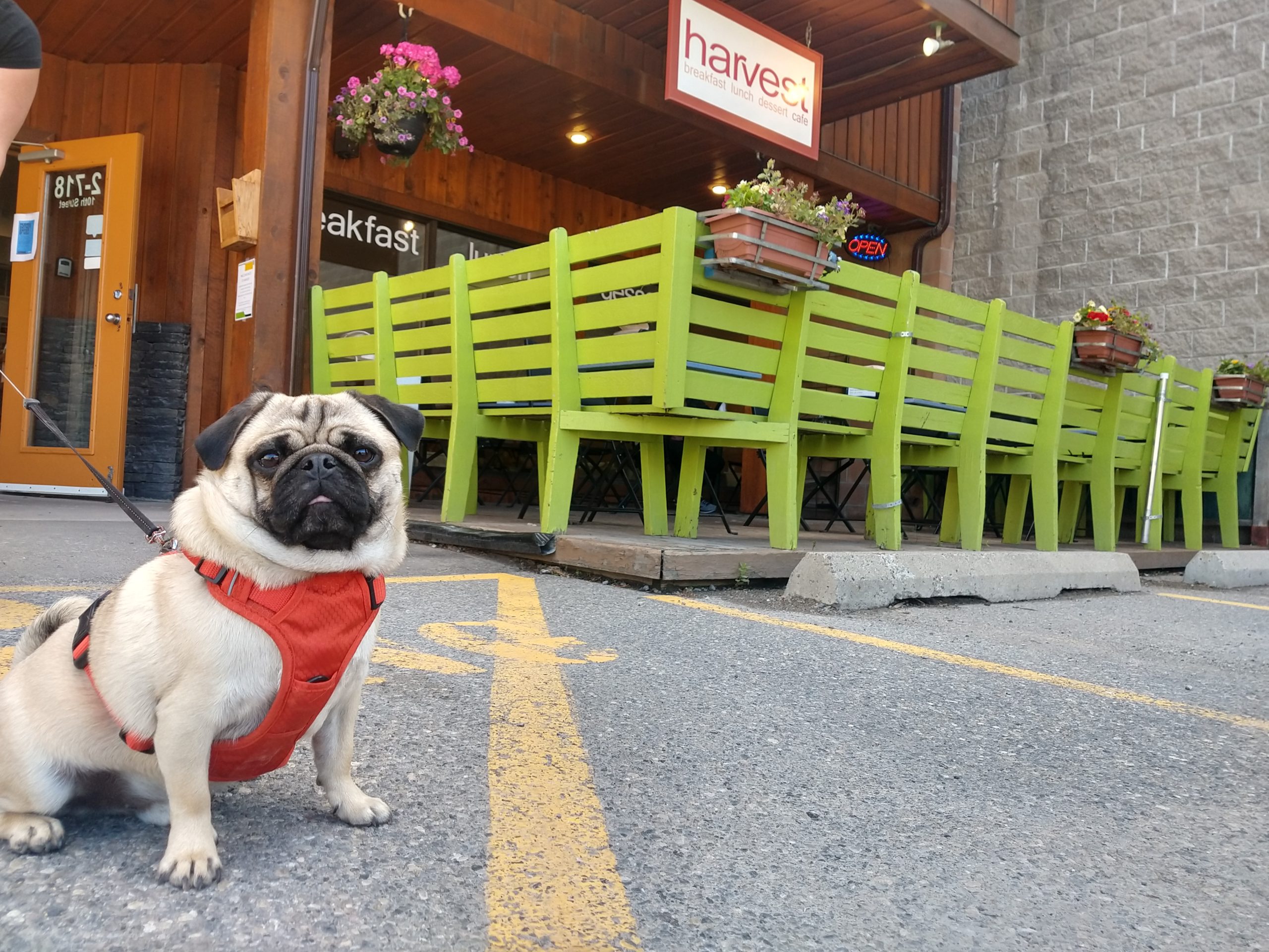 IMG_20200725_101743217_HDR